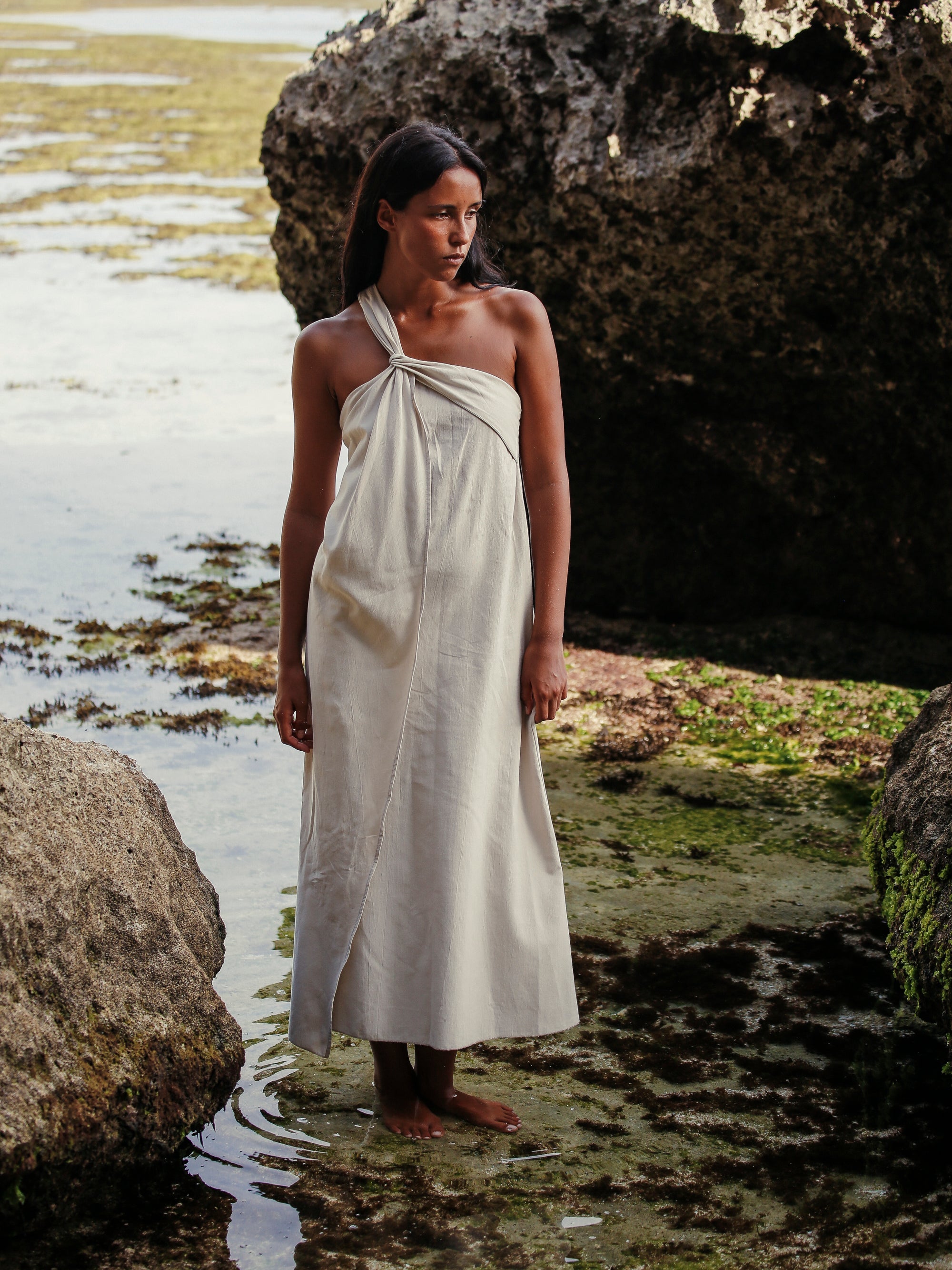 oatmeal maxi dress Pia Maxi Dress